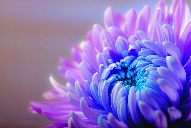 Kleurrijke tuinen: tips en tricks voor een bloeiend paradijs