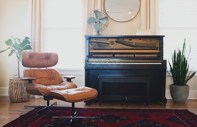 De charme van kleine kamerplanten voor elk interieur